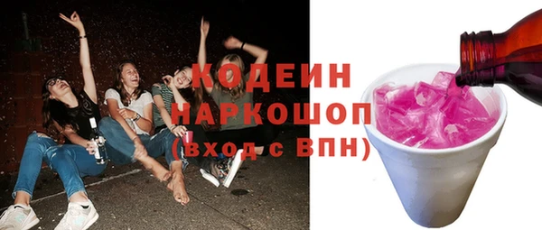 трава Корсаков