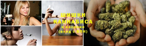 трава Корсаков