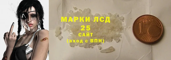 трава Корсаков