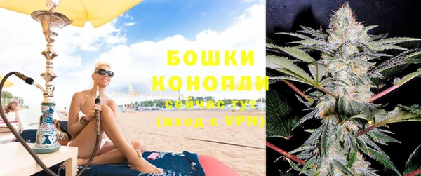 трава Корсаков