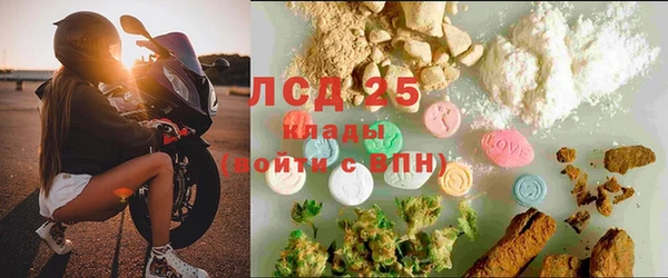 амф Коряжма