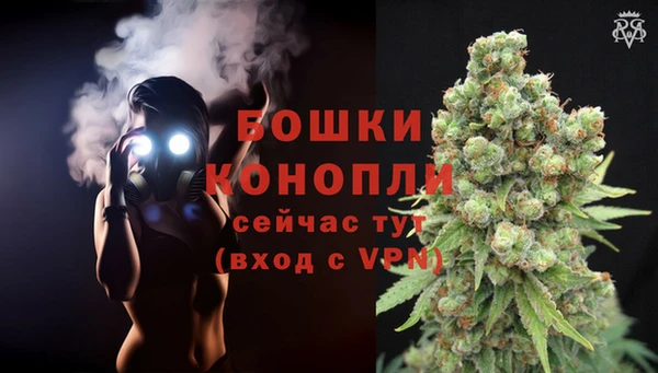 амф Коряжма