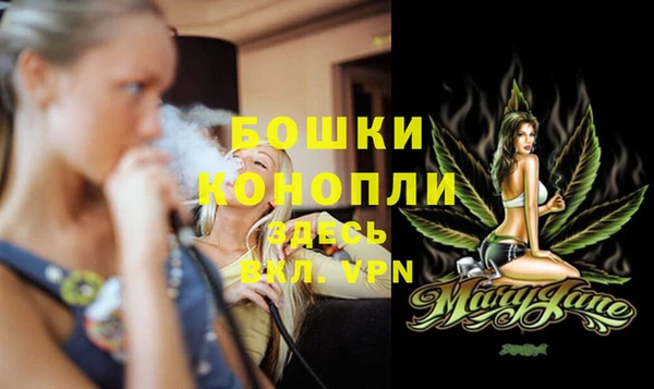 амф Коряжма