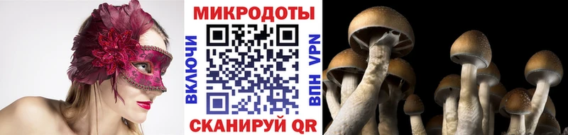 Купить где  Заинск  Псилоцибиновые грибы ЛСД 